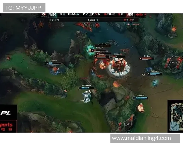 深入探讨英雄联盟JDG战队的战术意识与团队协作之道
