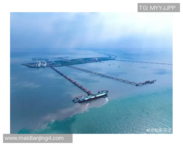 全球挑战赛中LNG个人能力表现的深度分析与点评 全球挑战赛中LNG个人能力表现的深度分析与点评